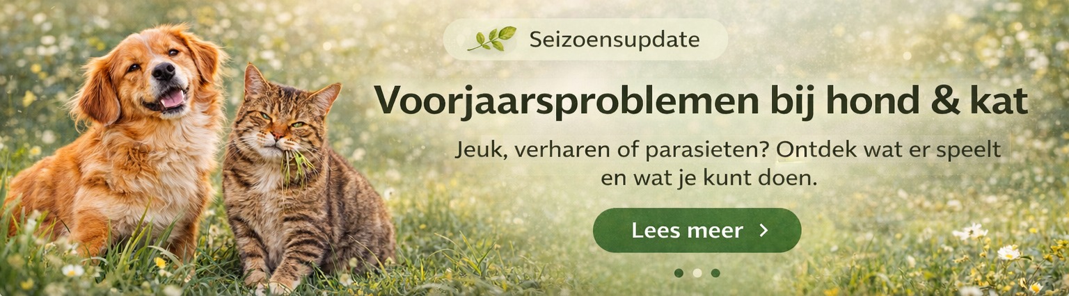 Voorjaarsproblemen bij hond en kat – jeuk, verharen en parasieten
